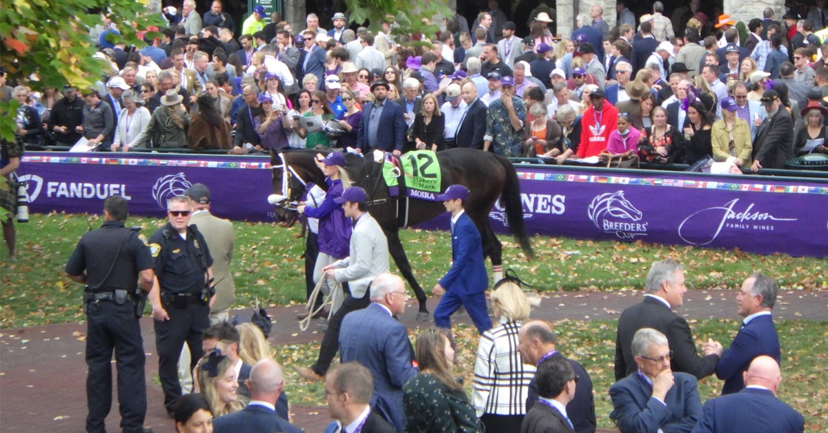 Thumbnail for 39th Breeders’ Cup Final Notes; Moira Gets Rest, Cairo Consort Sold