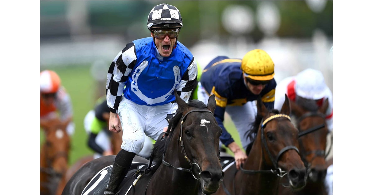 Thumbnail for Gold Trip Conquers Melbourne Cup For Training Duo