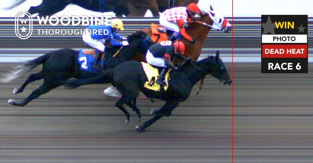 Thumbnail for Woodbine Sunday: Drexler Takes a Triple; Dead Heat at 10 F.