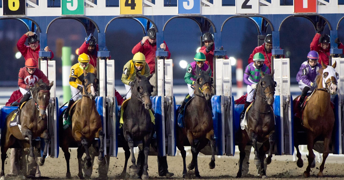 Thumbnail for Wind, Cold Temps Play Havoc With Woodbine Racing