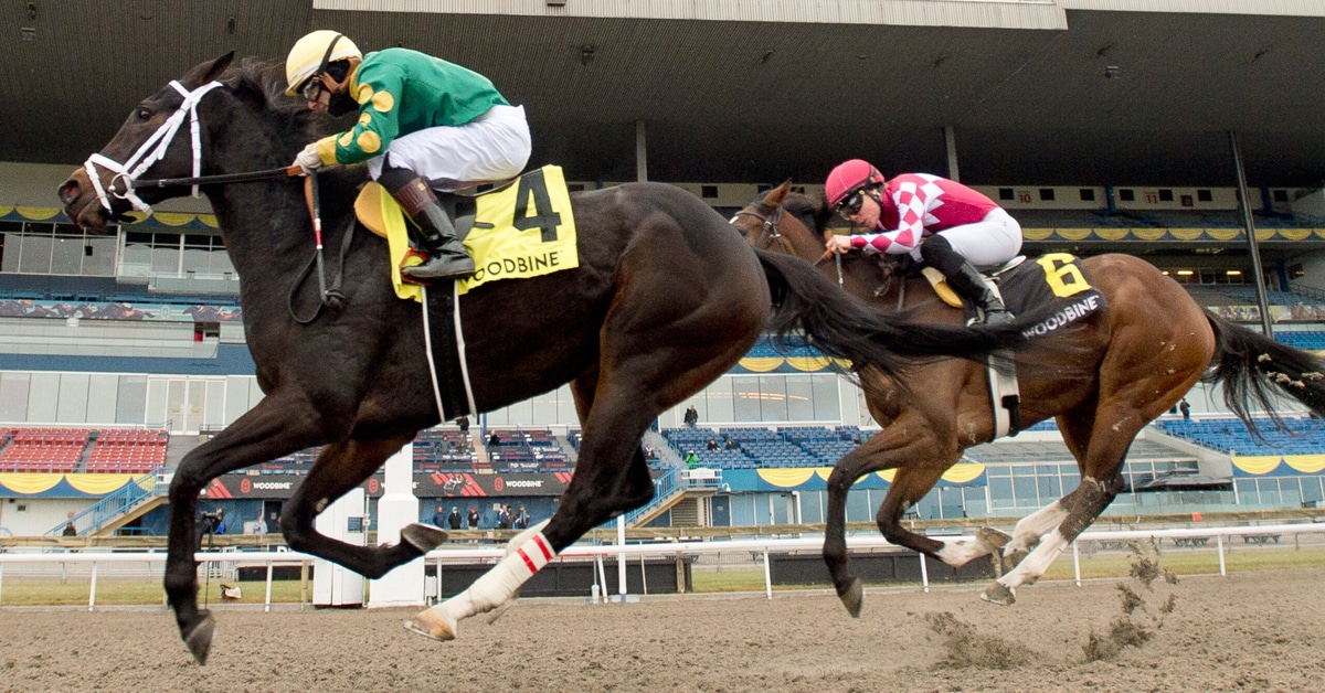 Thumbnail for Hernandez Okay After Spill, Armstrong and ‘Fab’ Win Stakes