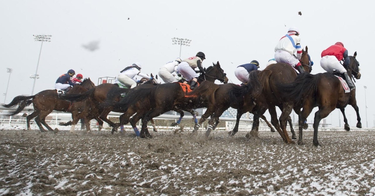Thumbnail for Woodbine Wraps Up 2022 With Record $620 Million Wagering