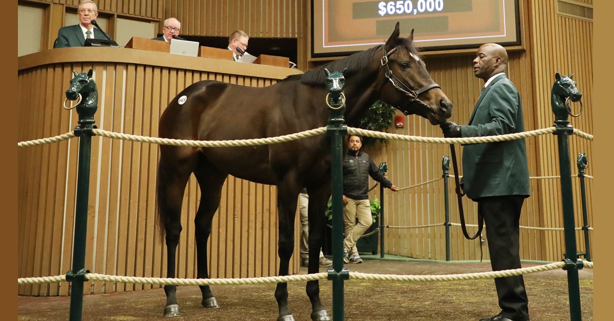 Thumbnail for More Updates: Cdn. Buyers, Ancient Peace Tops Keeneland Jan.