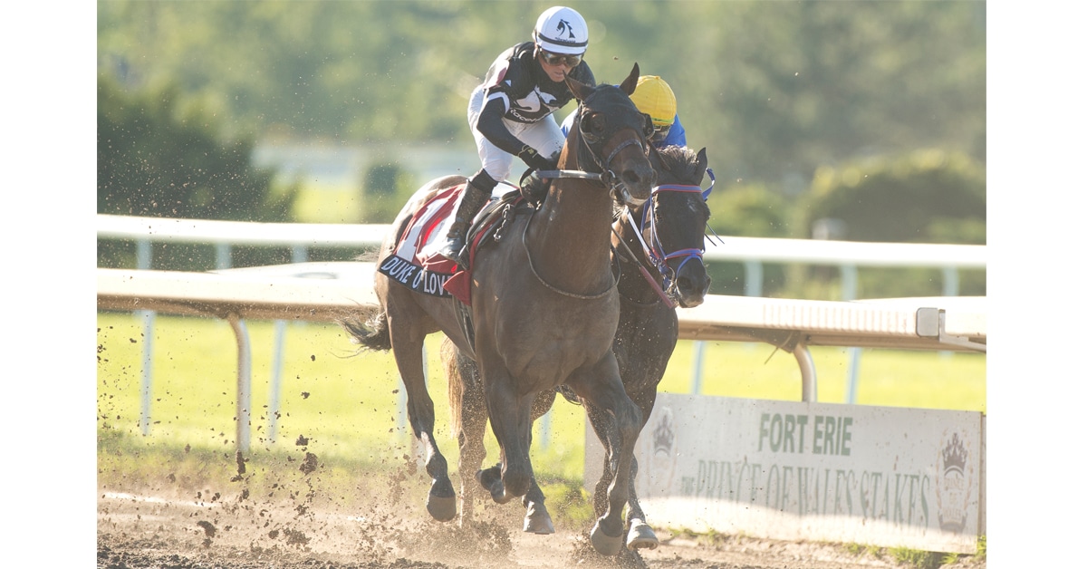 Thumbnail for 88th Prince of Wales Stakes to Run Sept. 12