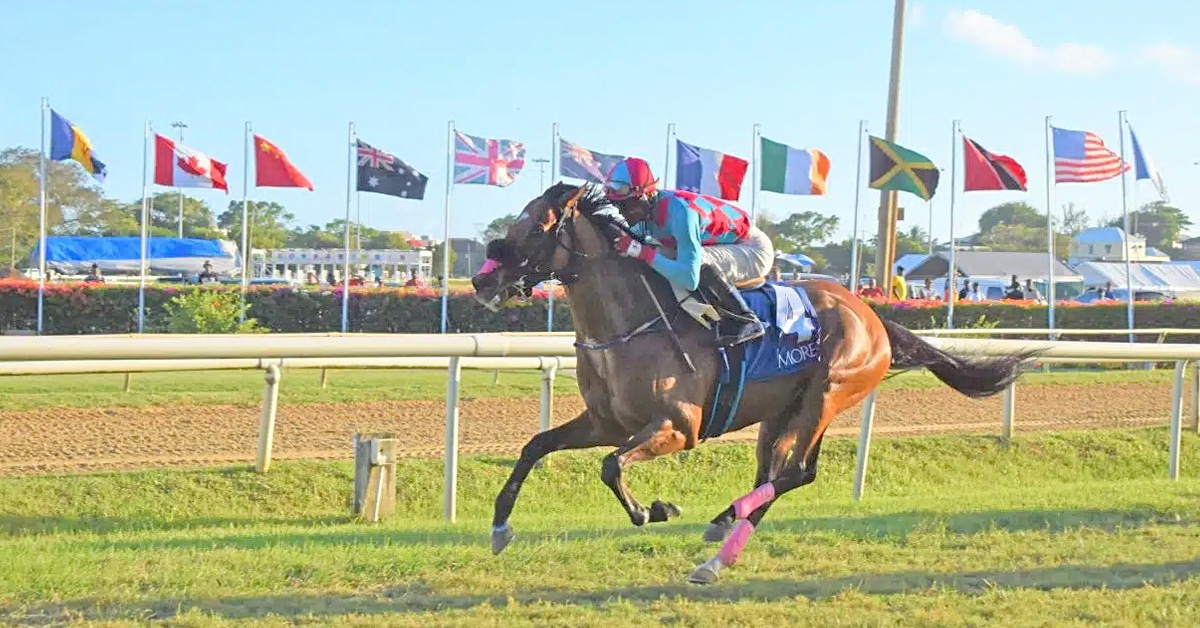 Thumbnail for So Suave and Patrick Husbands Gallop to Big Win in Barbados