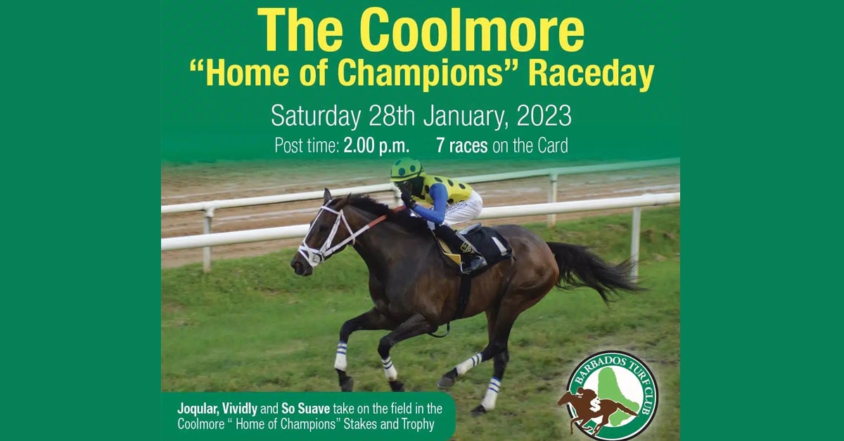 Thumbnail for Patrick Husbands To Ride So Suave in Saturday’s Coolmore Stakes