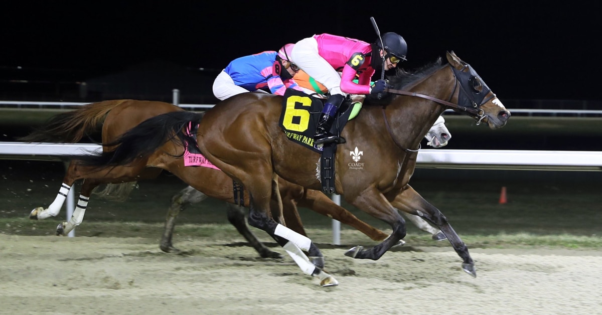 Thumbnail for Ontario-Bred Candy Overload Swoops to Forego Stakes Win