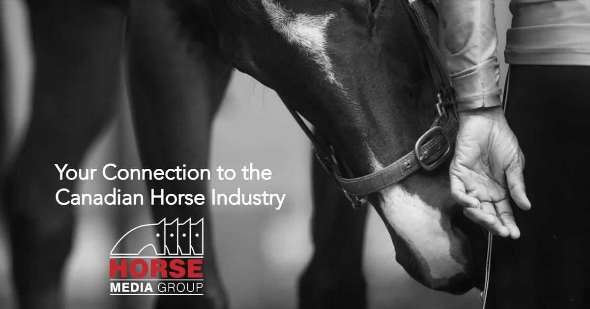 Thumbnail for Exciting Career Opportunity at Horse Media Group