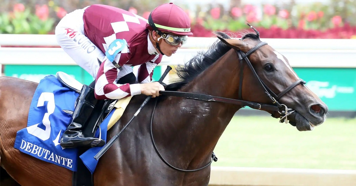 Thumbnail for Wonder Wheel, Casse-Trained Champion, Returns at Tampa