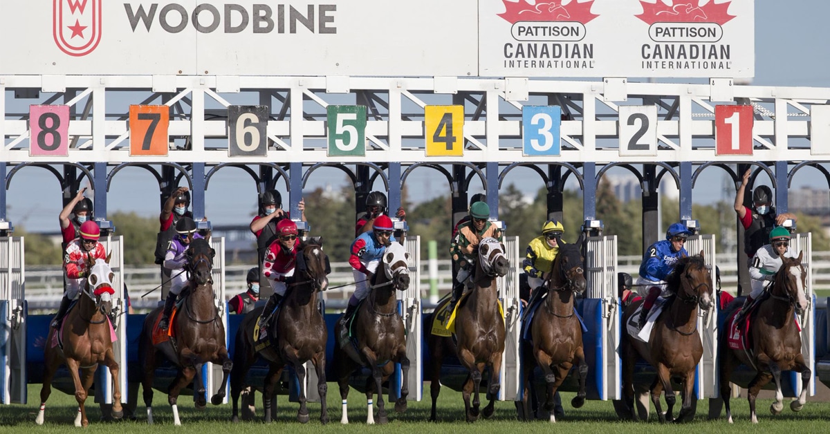 Thumbnail for The Return of the Grade 1 Canadian International