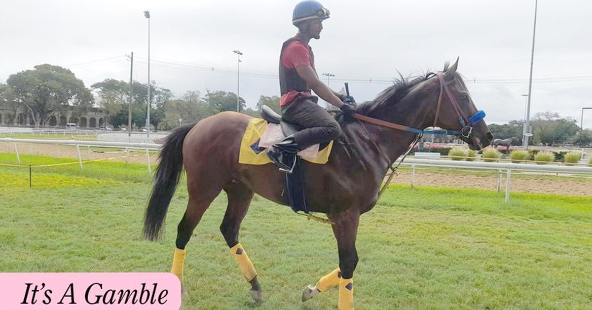 Thumbnail for 40th Sandy Lane Gold Cup; Fans, Horsepeople Flock to Barbados