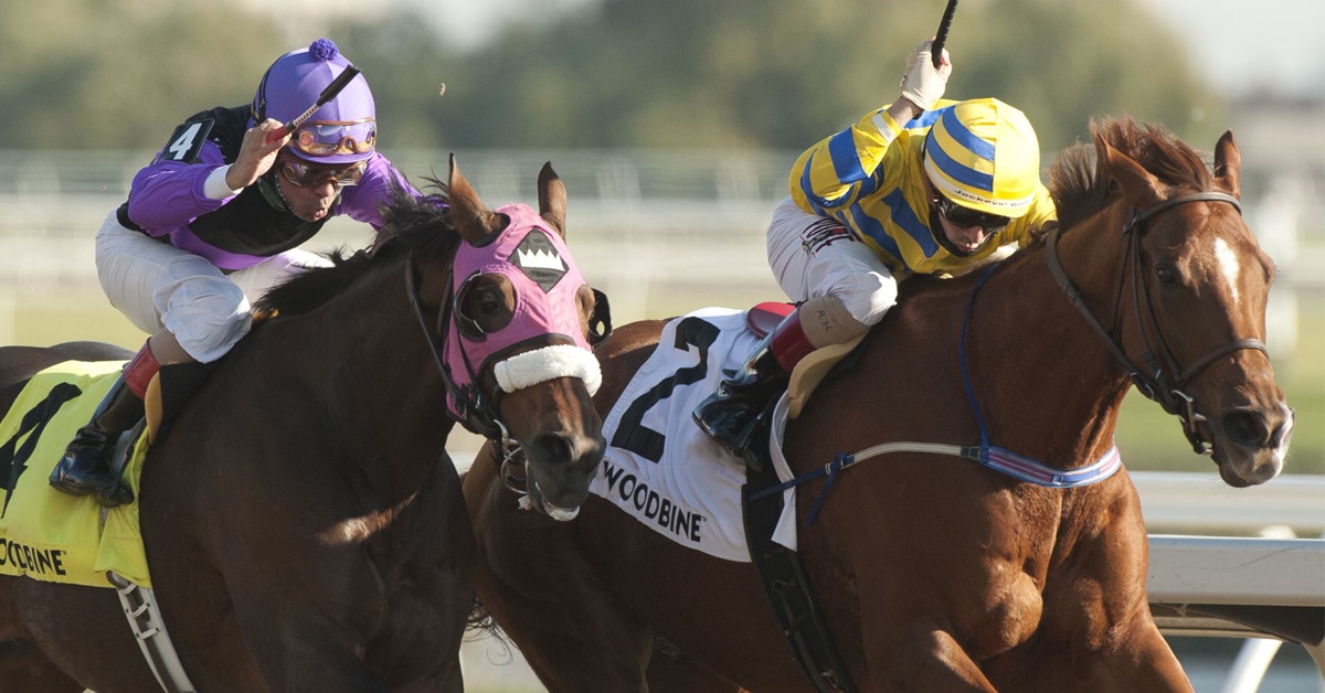 Thumbnail for OJC Stakes Renamed Pink Lloyd Stakes