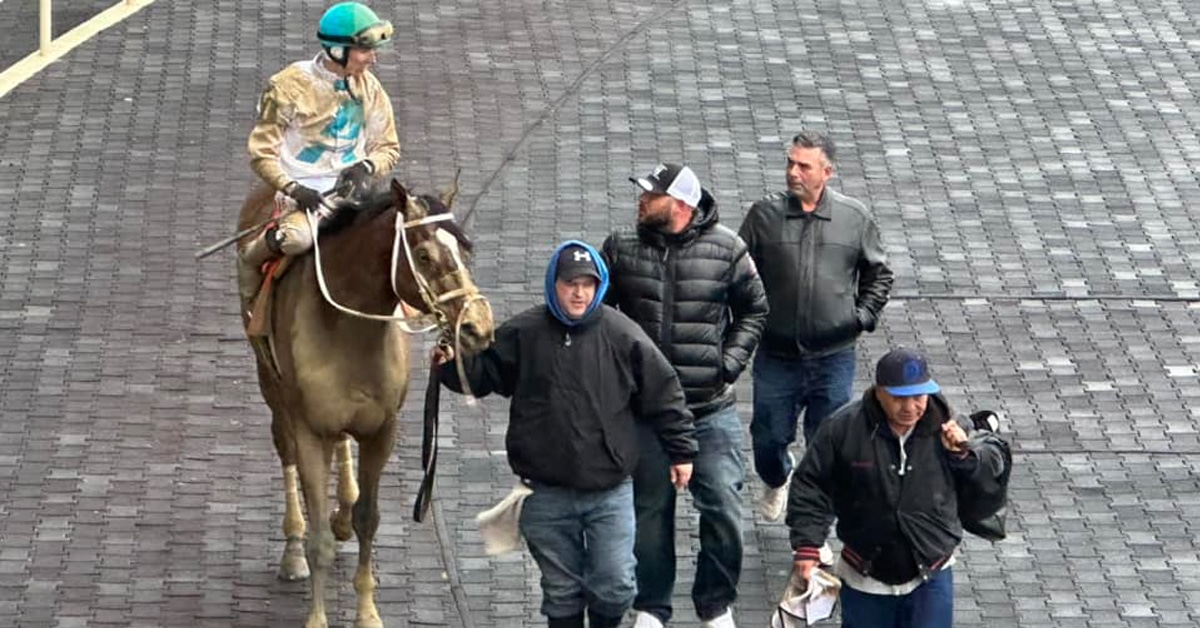 Racehorse Romantic Gamble heads into the Aqueduct winner's circle with trainer and owner Steven Chircop and co-owner Eric Ross.