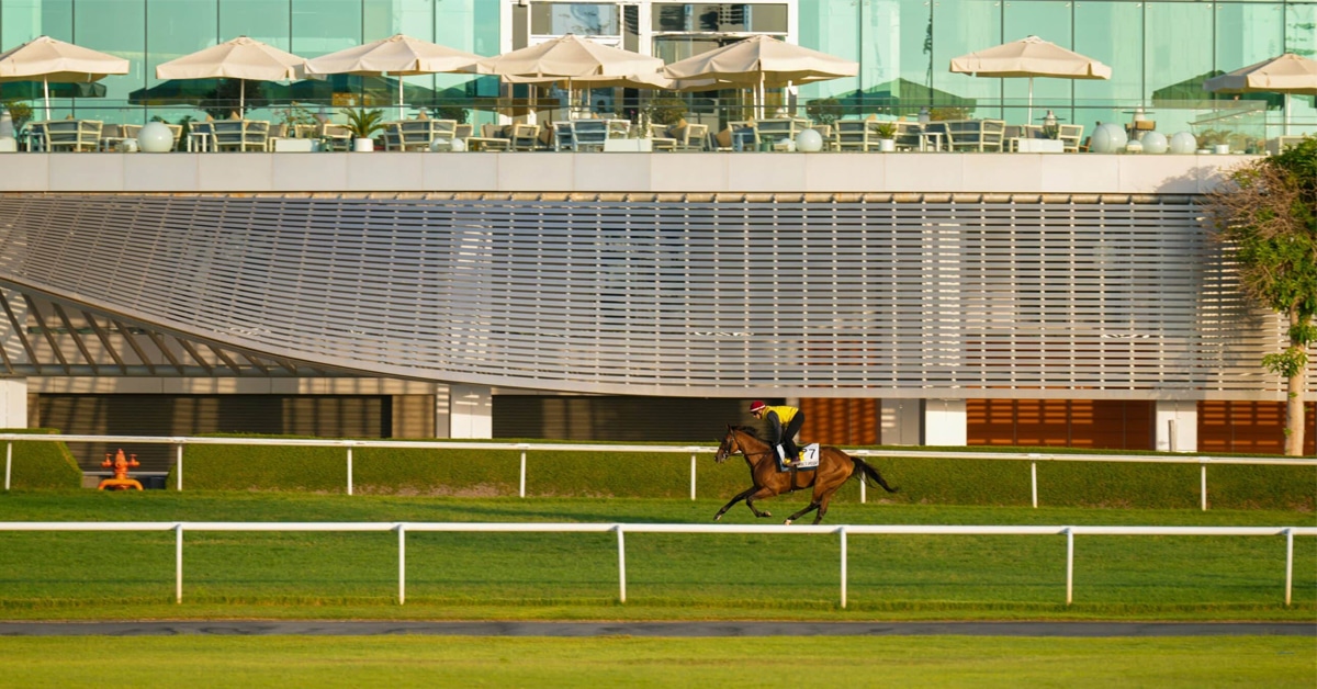 Thumbnail for Dubai World Cup: ‘Grammer’ Gets Post 14; ‘Shirl’ Competes in Turf