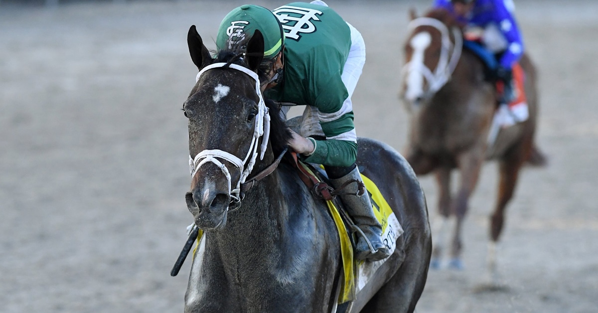Thumbnail for Kentucky Derby Preps; Forte Romps, Raise Cain, ‘Move’ Also Win