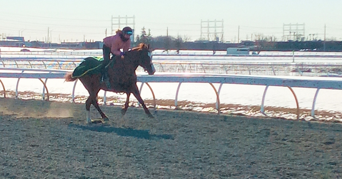 Thumbnail for Woodbine Workouts, Gold Magic Returns, Dunslow Wins