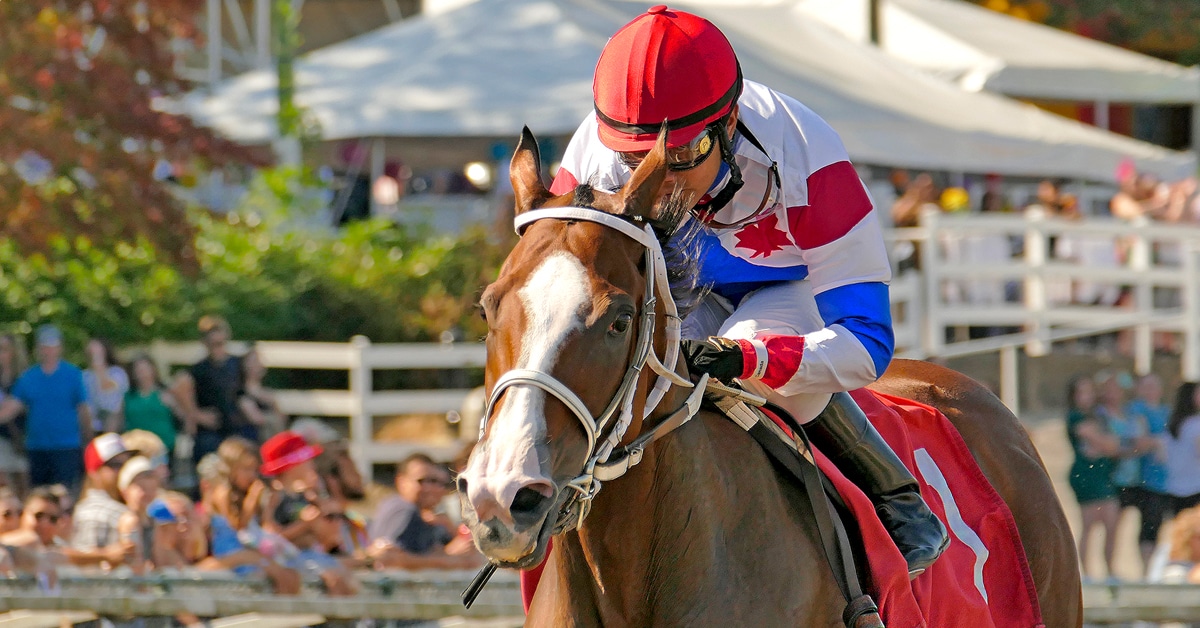 Thumbnail for Infinite Patience Named 2022 BC Horse of the Year