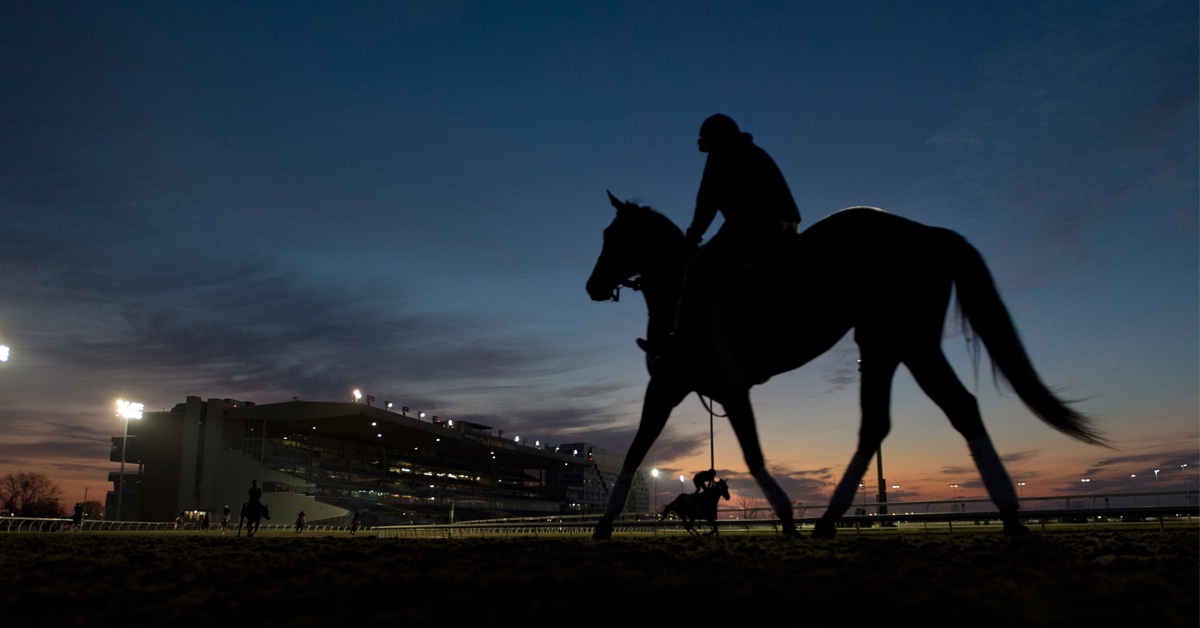 Silhouette of a horse and jockey in the early morning at Woodbine.