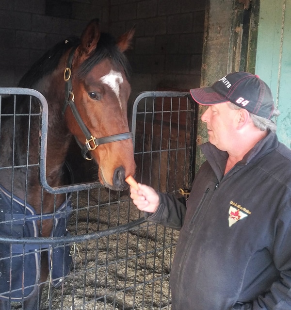 Trainer Gary Chudobiak feeds a carrot to Quick Reload.