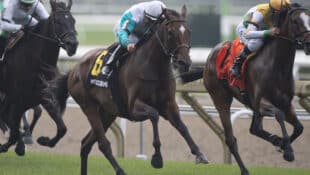 Giovanna Blues, trained by Francine Villeneuve, winning the Flaming Page Stakes at Woodbine.