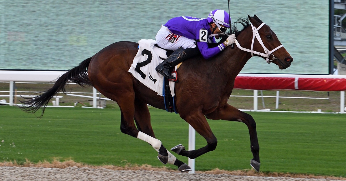 Thumbnail for Sophomores Sprint in Sunday’s Woodstock at Woodbine