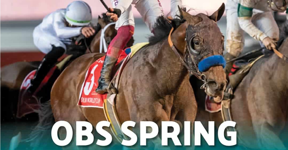 Racehorses racing on an OBS Spring poster ad.