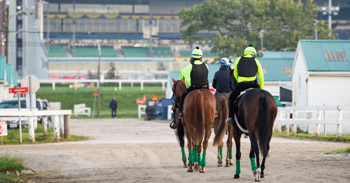 A group of racehorses with the Woodbine stands in the background.