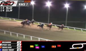 A group of horses racing at Assiniboia Downs.
