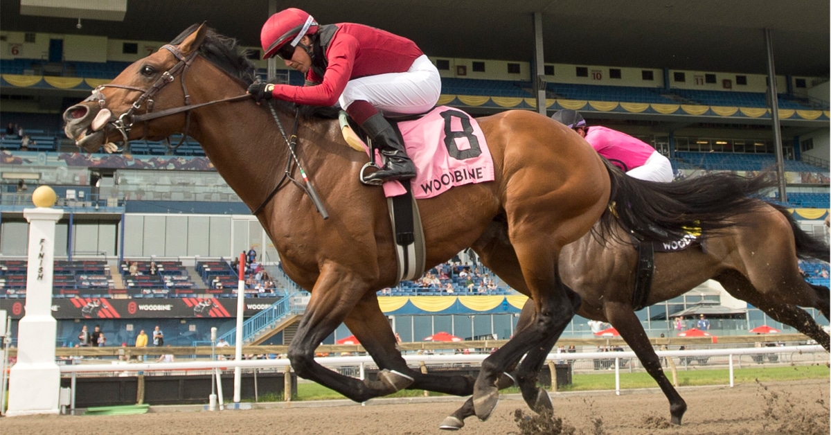 Anarchist winning the $150,000 Jacques Cartier Stakes at Woodbine.