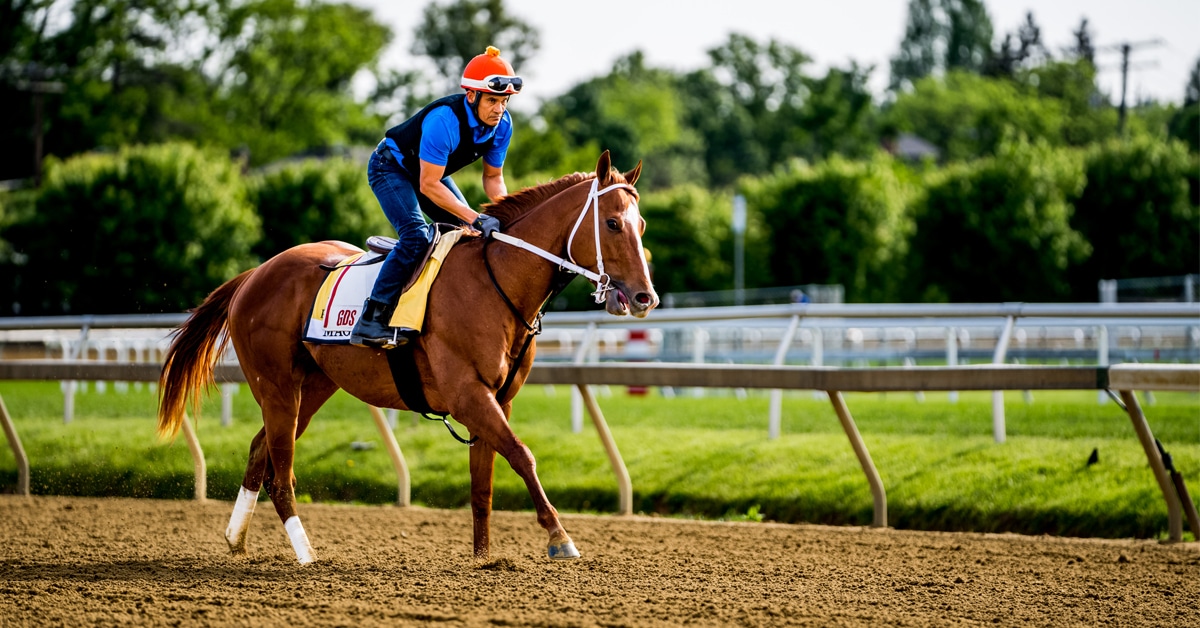 Racehorse Mage galloping at Pimlico.