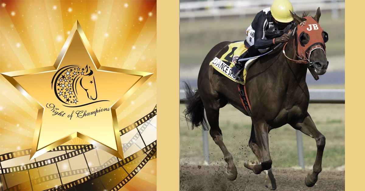 Night of Champions logo and winning mare Dance Shoes.