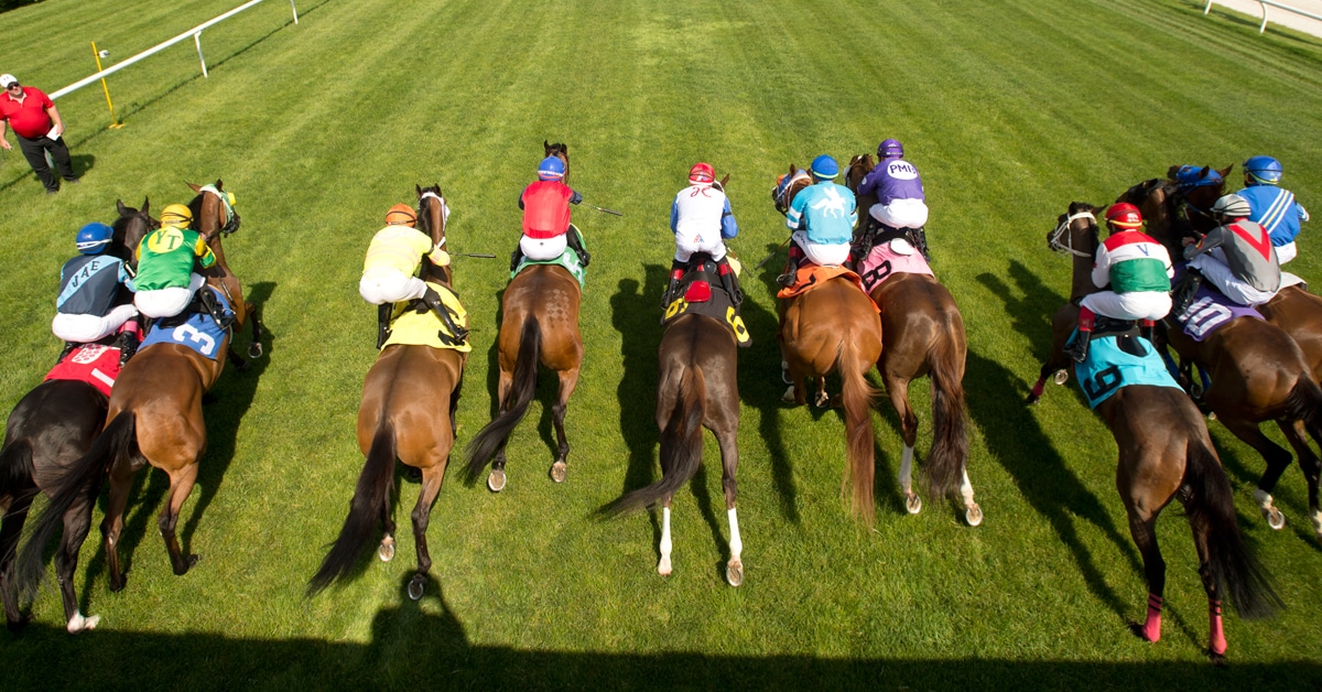 Horses breaking from the gate at Woodbine, viewed from above.