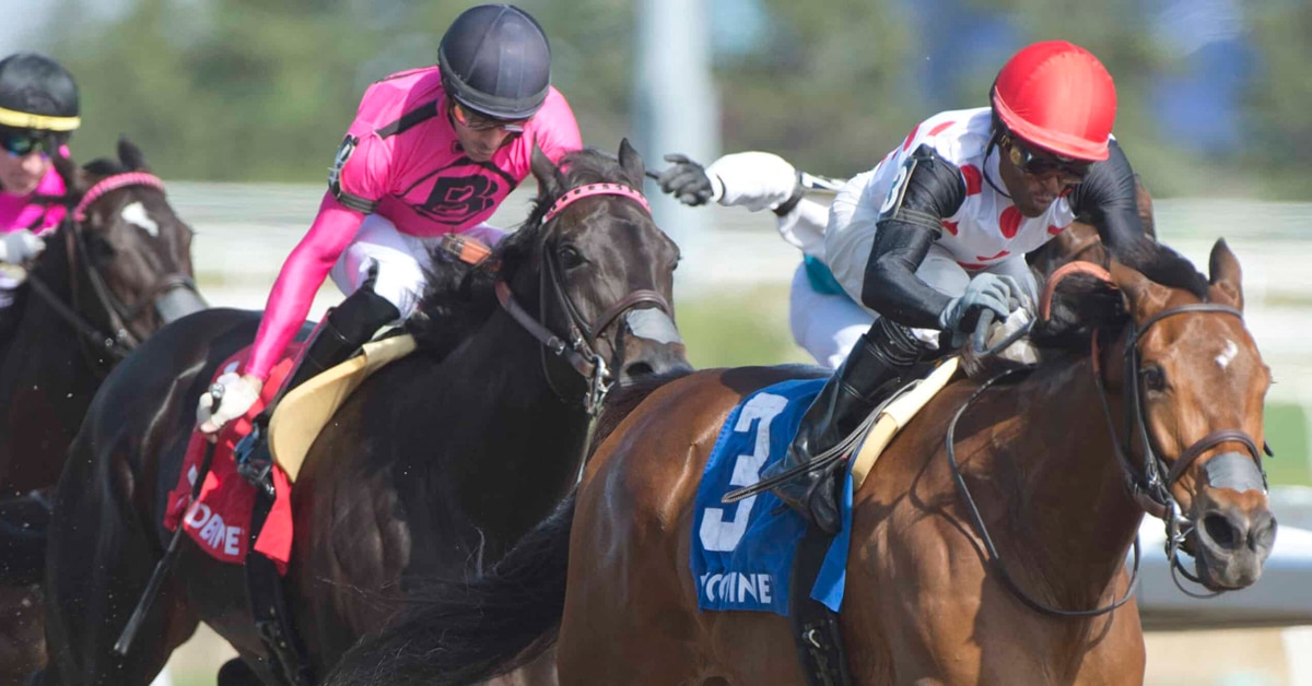 Our Flash Drive winning the Whimsical Stakes at Woodbine.