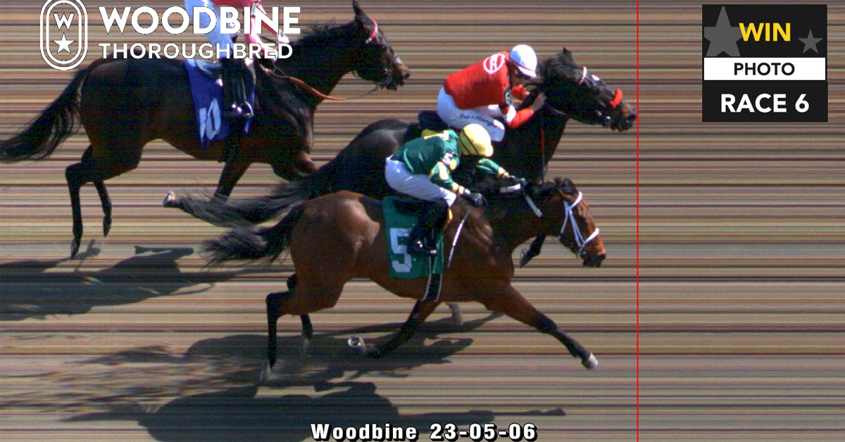 Image of a racing photo finish.