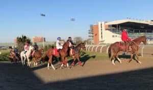 A group of horses heading onto the track.