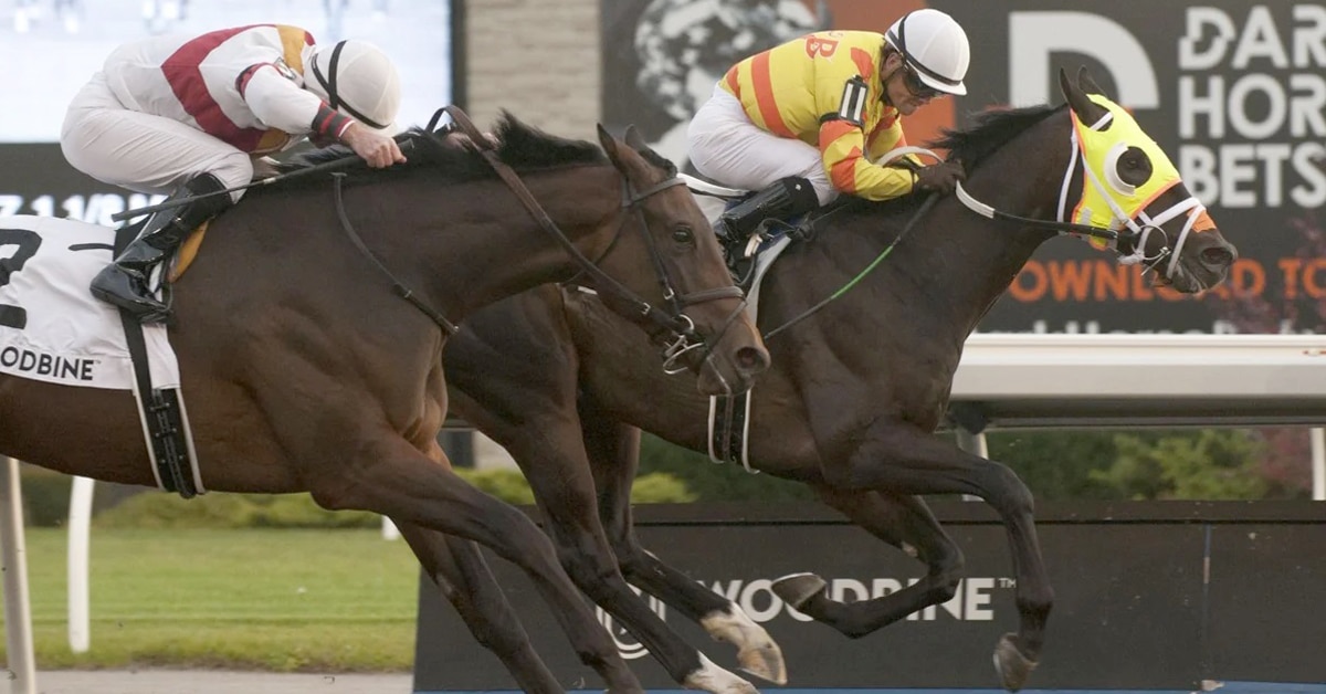 Racehorses Velocitor and Twin City reaching the finish line at Woodbine.