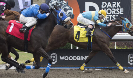 Horses crossing the finish line at Woodbine.