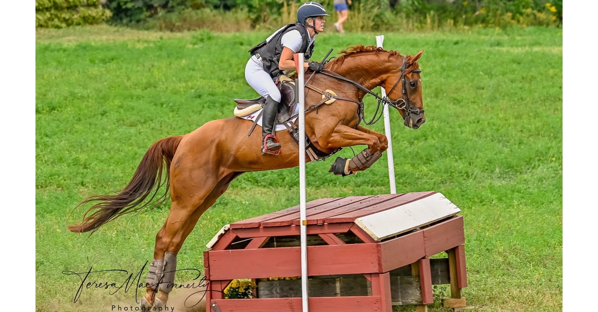 A rider on a chestnut horse jumping a cross-country fence.