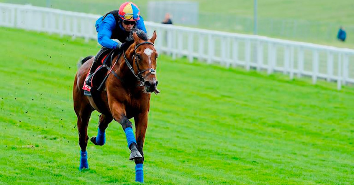 A horse galloping on green turf at Epsom.