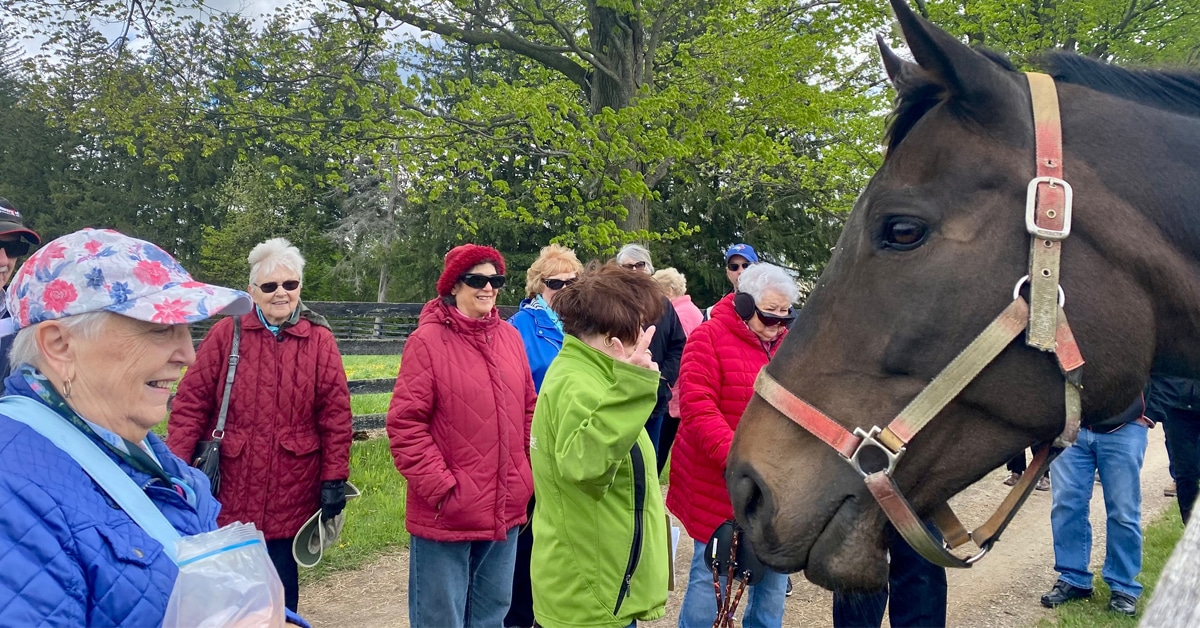 A group of people and a retired Thoroughbred.
