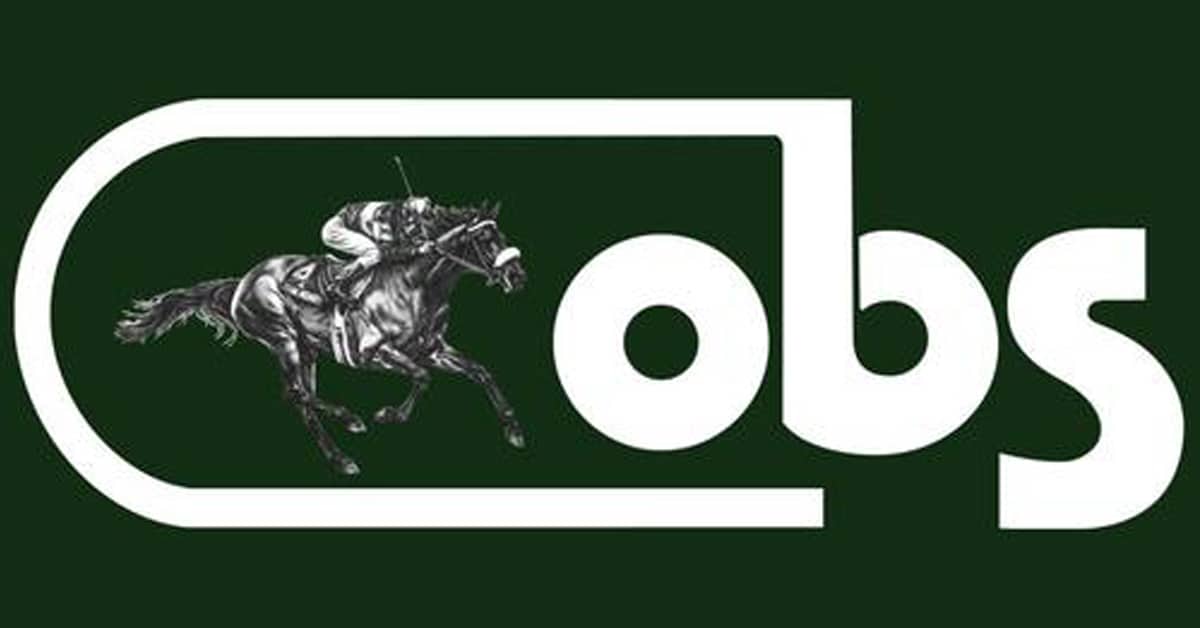 OBS logo.