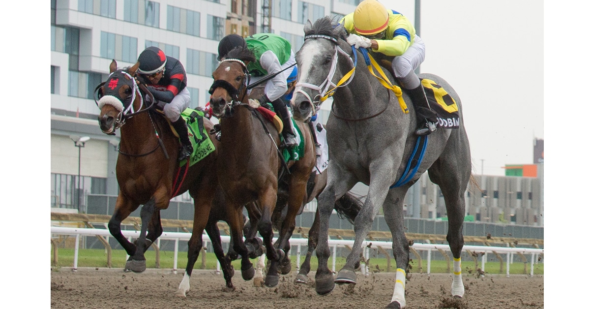 Horses racing in the Queenston Stakes at Woodbine.