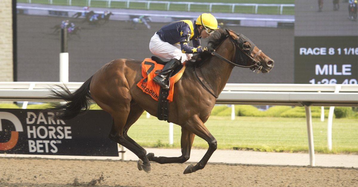 Thumbnail for Woodbine Sunday: Treason in Eclipse, Rockcrest Takes Pink Lloyd