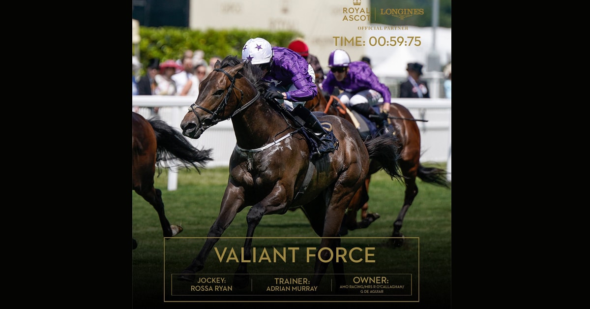 Racehorse Valiant Force at Royal Ascot.