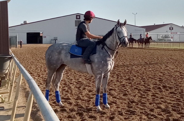 A grey horse standing beside the rail on the backstretch.