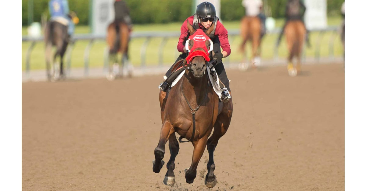 A bay horse galloping on a racetrack.