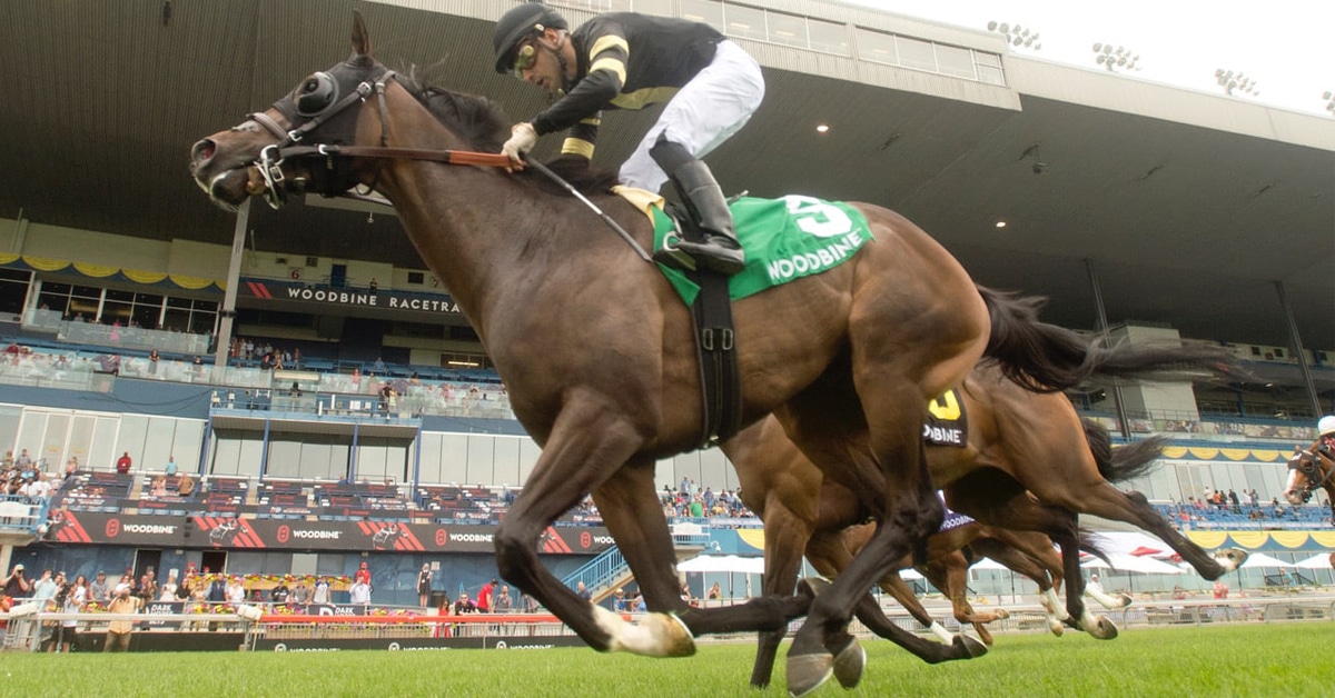 Thumbnail for Canada Day Woodbine Style, Part 2:  ‘Lucky’ Scores