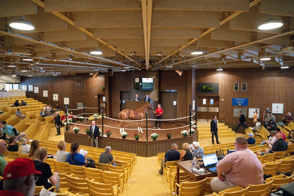 Inside the auction building.