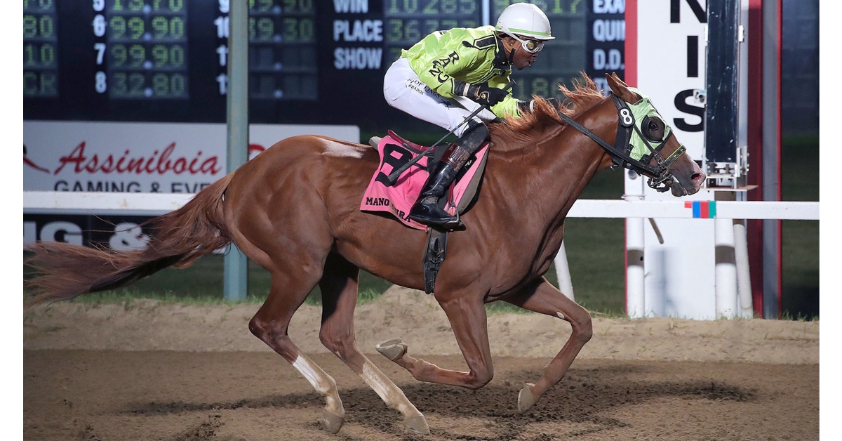 Thumbnail for Mano Dura, by Keen Ice, Upsets 75th Manitoba Derby