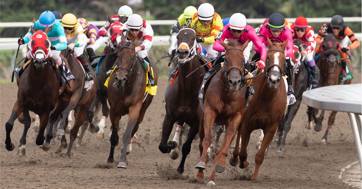A head-on shot of the King's Plate field on the turn.